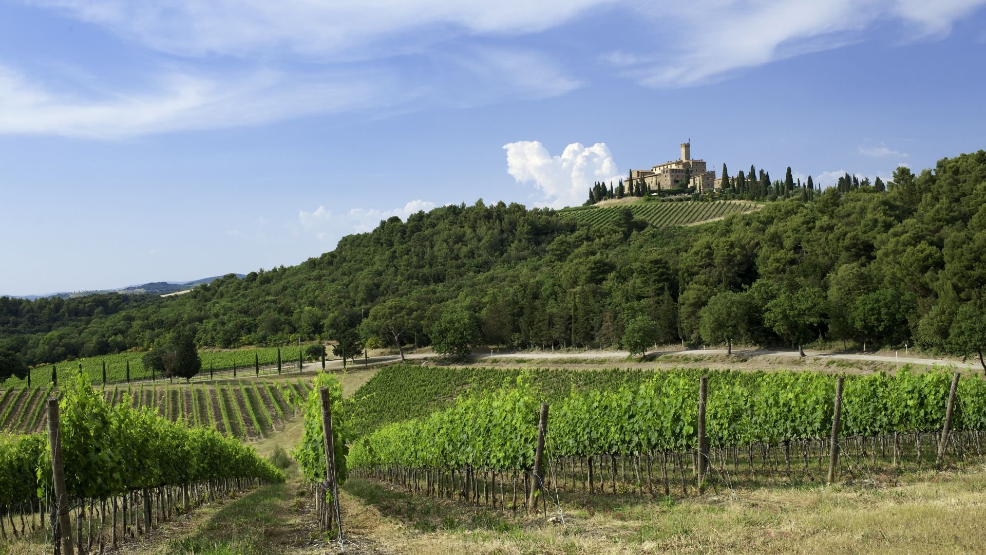 Castello Banfi Wine Resort: an authentic Tuscany experience
